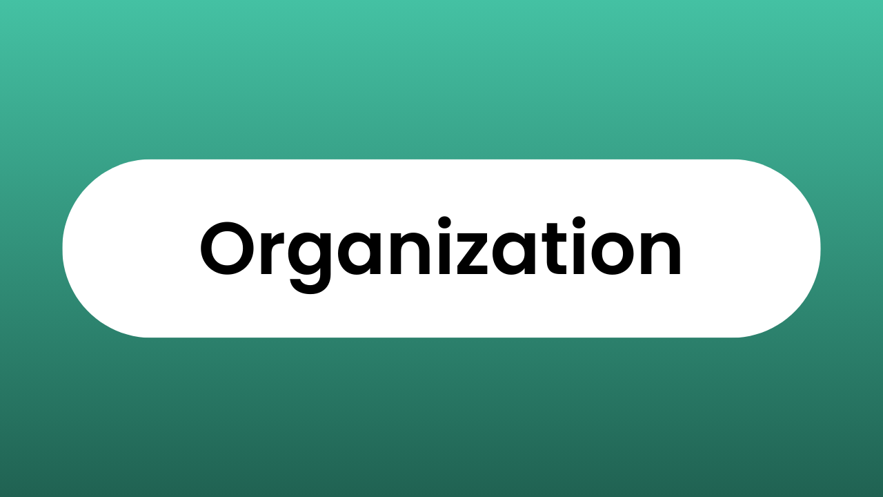 Excel Organization